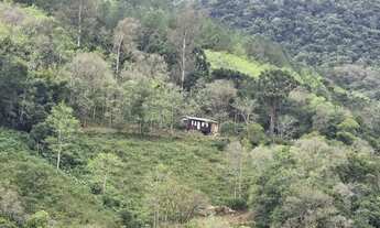 Imagem: Sítio / Chácara para Venda em Nova Petrópolis