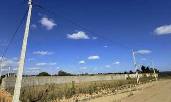 Imagem 3: Vendo Terreno no Povoado bálsamo - Arapiraca