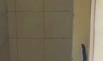 Imagem 4: Alugo apartamento 2/4 1°Andar