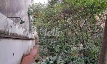 Imagem 3: Comercial/Industrial 7 quartos à venda no(a) Tucuruvi