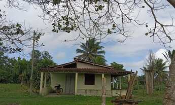Imagem: Vendo excelente fazendinha em jaguaripe