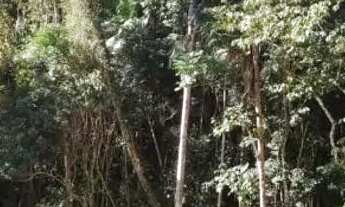 Imagem 4: Sítio em São Bento de Urânia Alfredo Chaves