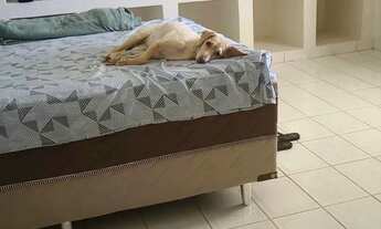 Imagem 6: FS CASA GRANDE com 5 quartos 4 banheiros