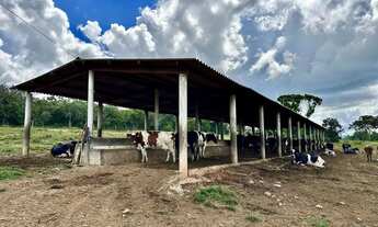 Imagem 6: Vendo chacara em Mairipotaba / Goiás