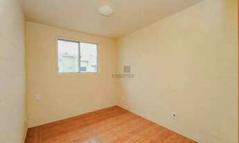 Imagem 5: Apartamento 2 quartos para aluguel Pelotas