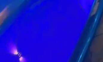 Imagem 7: Mini sítio com 700 mtrs quadrados