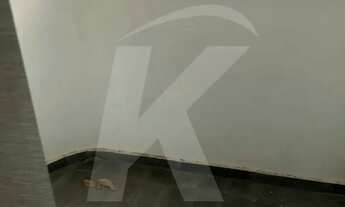 Imagem 2: Apartamento no Lauzane próximo ao shopping - 2 dormitórios com vaga fixa, coberta e livre