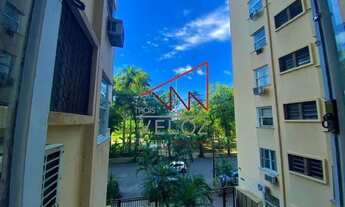Imagem 5: Apartamento - / Residencial / Flamengo
