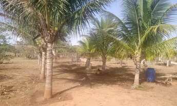 Imagem 5: Fazenda 203 Hectares/13 Divisões Pastagem/Opção Plantio Frutas,4 poços Artesiano.