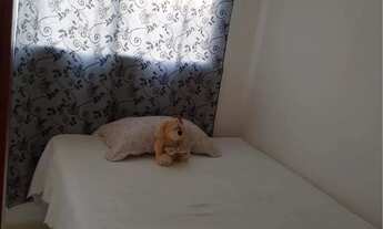 Imagem 2: Apartamento à venda