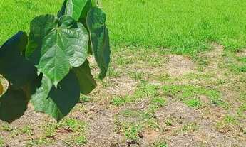 Imagem 4: Terreno à venda em Paulínia, Boa Esperança, com 300 m², Residencial das Acácias