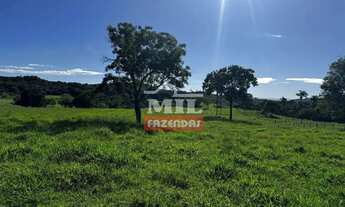 Imagem 4: Sitio 19 alqueires (91,96 hectares) Jandaia - Go