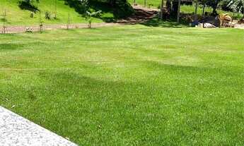 Imagem 2: Chácara a venda em dois irmão ( Toledo pr