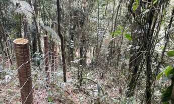 Imagem 7: Excelente terreno em Visconde de Mauá !!!