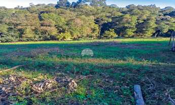 Imagem 3: Chácara Residencial para Venda no Roseira em Colombo, 4282.95m²