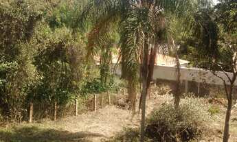 Imagem 3: LINDO TERRENO EM SOUSAS