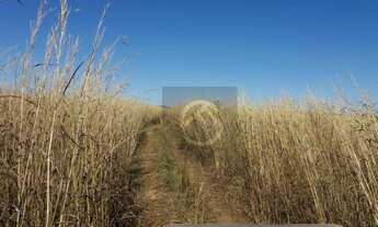 Imagem 7: Fazenda à venda, m² por R$ 80.000.000 - Zona Rural - Nova Brasilândia/MT