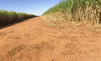 Imagem 5: Fazenda em chapadao do céu go