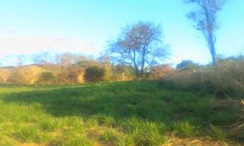 Imagem 6: Chácara com #10 mil mts2