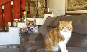 Imagem 4: Sobrado em Condomínio com 4 suítes e 4 vagas na Vila Augusta