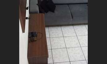 Imagem 6: 88- SOBRADO A VENDA