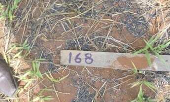 Imagem 3: GOIANIA - Terreno Padrão - CHACARAS HELLOU