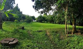 Imagem 7: Sítio em Guapimirim