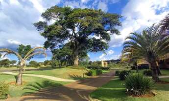Imagem 7: Terreno - Tanquinho Velho - Monte Alegre do Sul