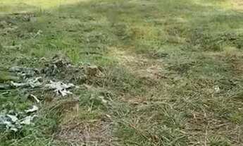 Imagem 4: Vendo chácara molhada