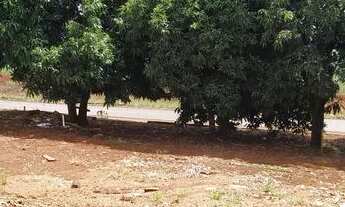 Imagem 4: Terreno plano com muita frente