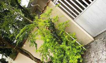 Imagem: Casa no Bairro Palmital Investimento