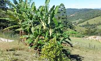 Imagem 4: Sitio Chácara 2558m2 Barro branco São Pedro de Alcântara