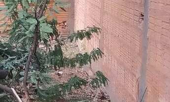 Imagem 5: Lote Major prates