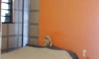 Imagem 7: 02 casas a venda Jd. Moreno/Guaianases