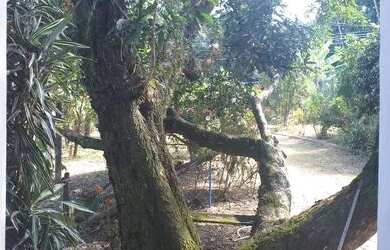 Imagem 3: Chácara Paiquerê