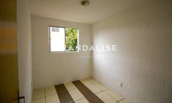 Imagem 6: CANOAS - Apartamento Padrão - Mato Grande