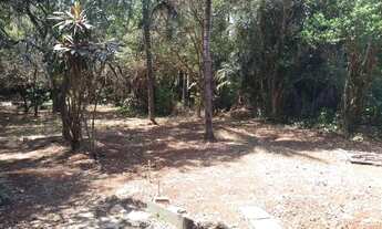 Imagem 4: área - Vila Hollândia - Campinas