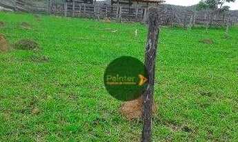 Imagem 4: Fazenda com 2 dormitórios à venda, 6292000 m² por R$ 13.000.000 - Zona Rural - Planaltina