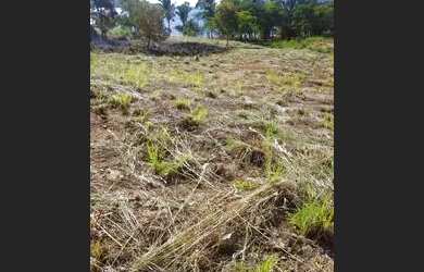 Imagem 3: Chácara no KM 38 - Sentido Lajeado