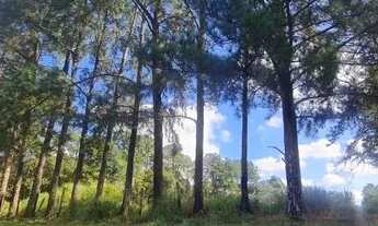 Imagem 3: Lindo Terreno Comercial 614m² - Alphaville Castello Itu - Ótima oportunidade!