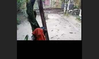 Imagem 2: Casa em colares Casa com 2 dormitórios