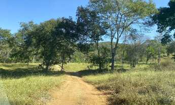 Imagem: Fazenda município de Cocalzinho-go