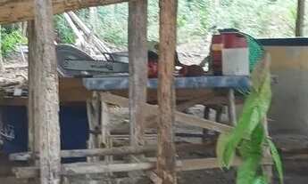 Imagem 3: Sítio no Rio Preto da Eva km 116 Am 010