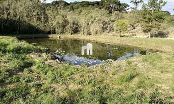 Imagem 2: Terreno à venda 53.000m² por R$5.500.000,00 - São José dos Pinhais/PR