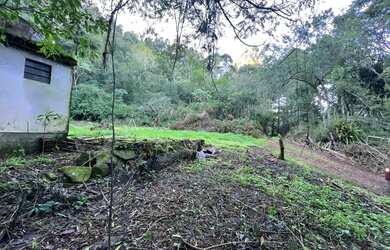 Imagem 7: Sítio Meia/ Hectare - Morro Reuter RS - proximo da tenda umbu Parcela direto