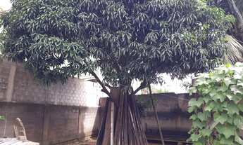 Imagem 2: Imóvel para venda tem 450 metros quadrados em Cobilândia - Vila Velha - ES