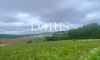 Imagem 7: 86C- COTIA COM NOVOS LOTES NO MERCADO