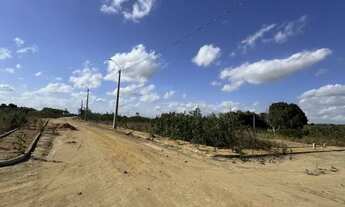 Imagem: Vendo Terreno no Povoado bálsamo - Arapiraca