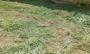 Imagem 5: Vende-se esse terreno