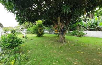 Imagem 7: Terreno à venda em Daniela - Florianópolis, SC